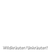 Wildkräuter/Unkräuter?
